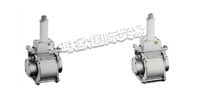 HAWE液壓泵,HAWE氣動(dòng)操縱液壓泵,德國液壓泵,德國氣動(dòng)操縱液壓泵,LP-125-20,德國HAWE